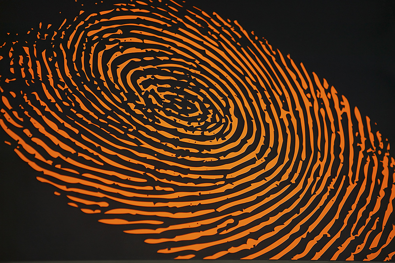 fingerprint image