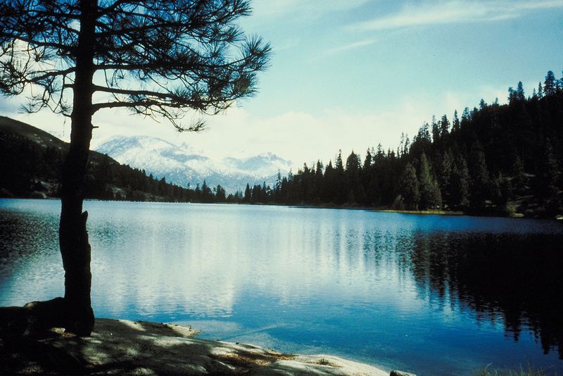 Visits to Katahdin Woods Quadruple from Last Year’s Season