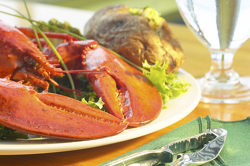 Seafood industry struggling to stay afloat amid outbreak
