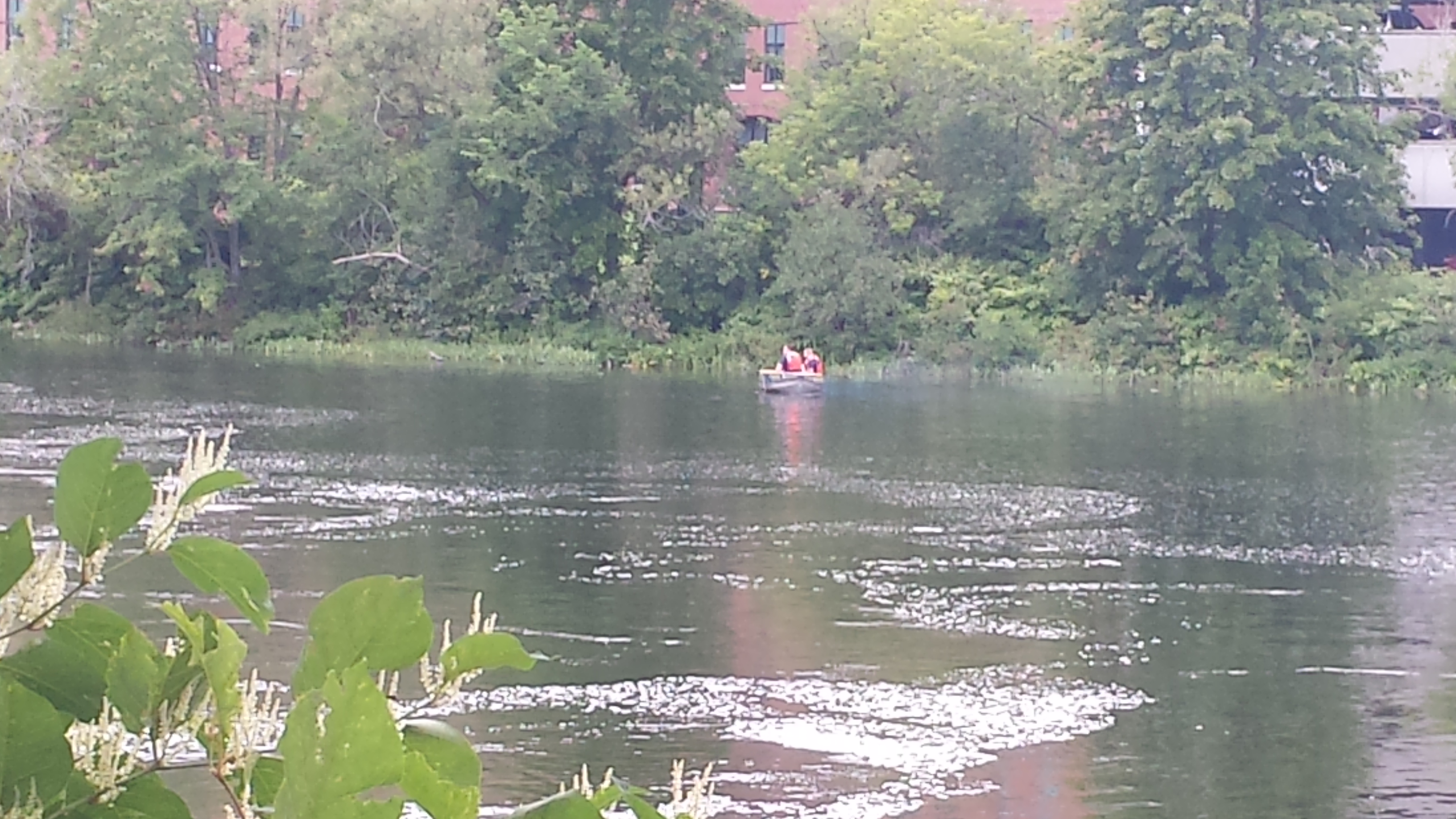 Collins & King aim to add York River to National Park System