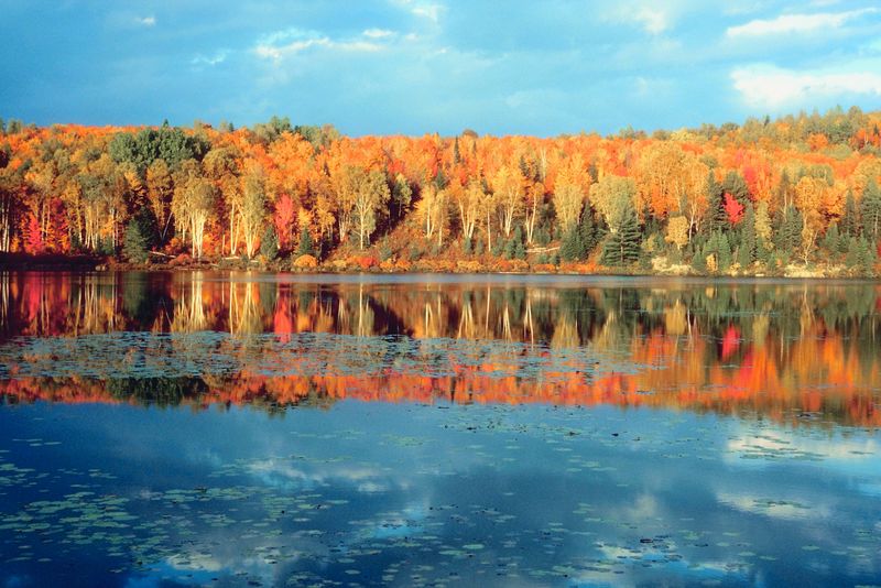 Fall Foliage Report Shows High Color Change Hitting Northern Maine