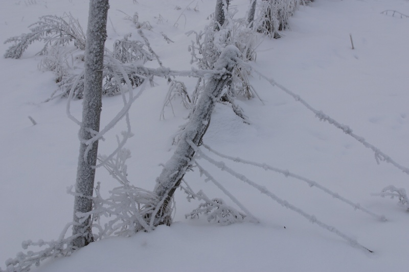Father And Son Rescued From Mount Katahdin Amid Whiteout