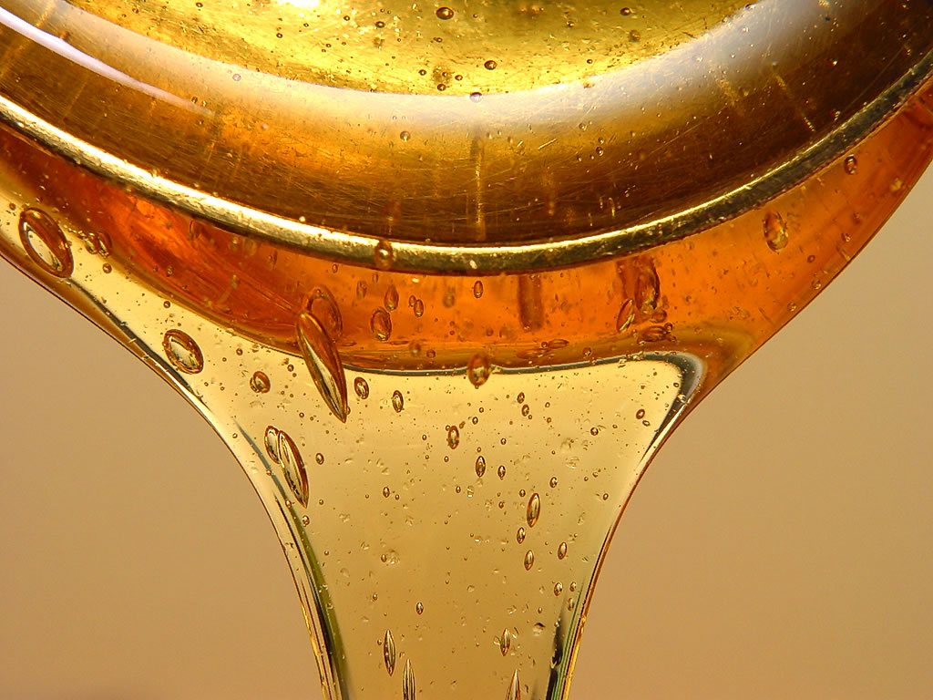 No Wine and Roses, It’s All Syrup and Maple Trees in Maine
