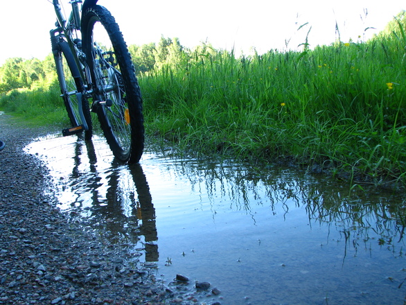 Maine cyclists raise more than half a million for coronavirus research