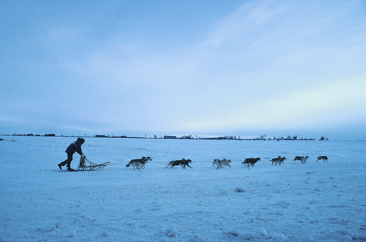 Massicotte Notches 9th Victory in Can-Am Crown Dog Sled Race