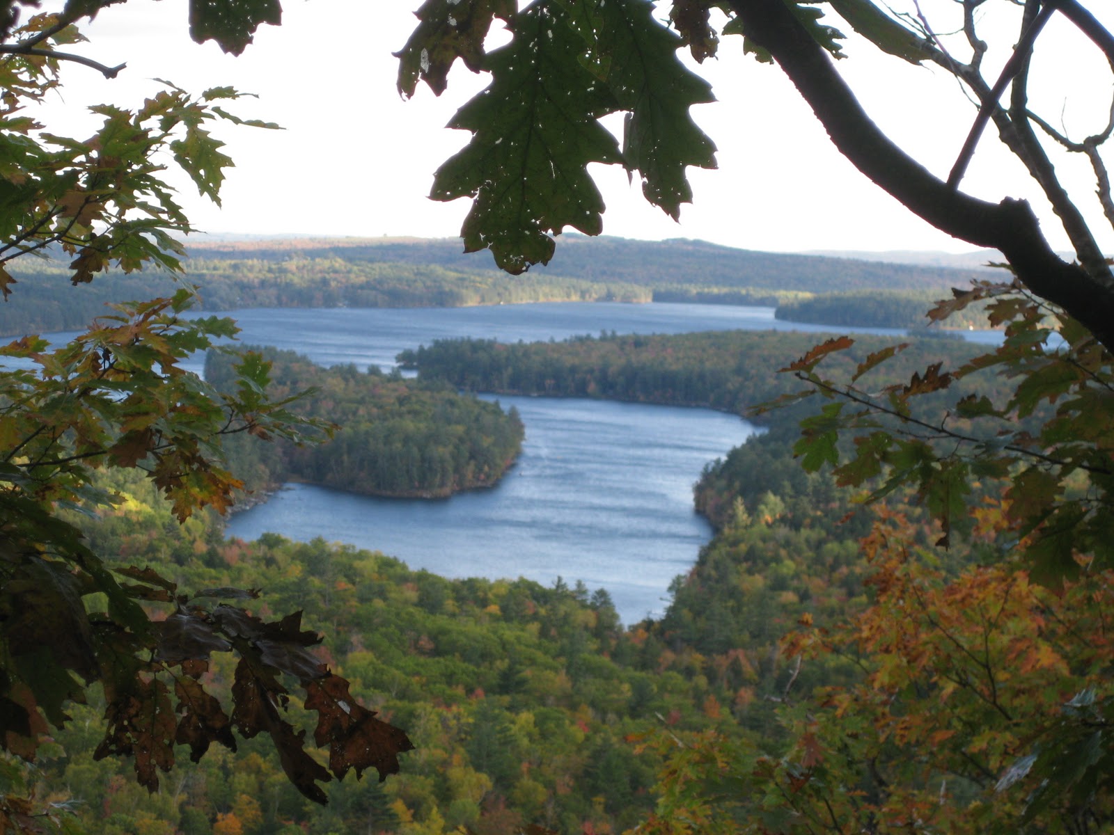 Rescued hiker may have to pay the bill
