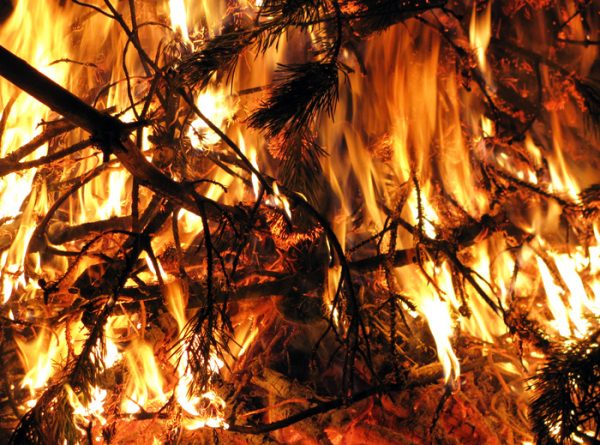 Maine Forest Service already seeing record wildfire count