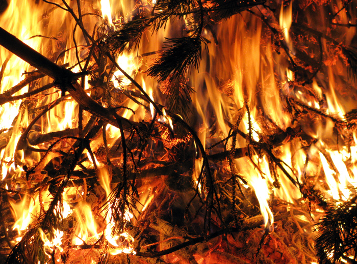 State Reports Nearly 100 Wildfires and Many Acres Burned