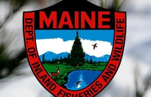 Brewer woman accidentally shot during northern Maine hunting trip