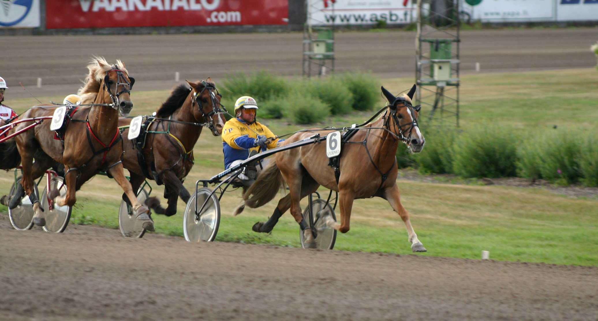 Harness racing back on track