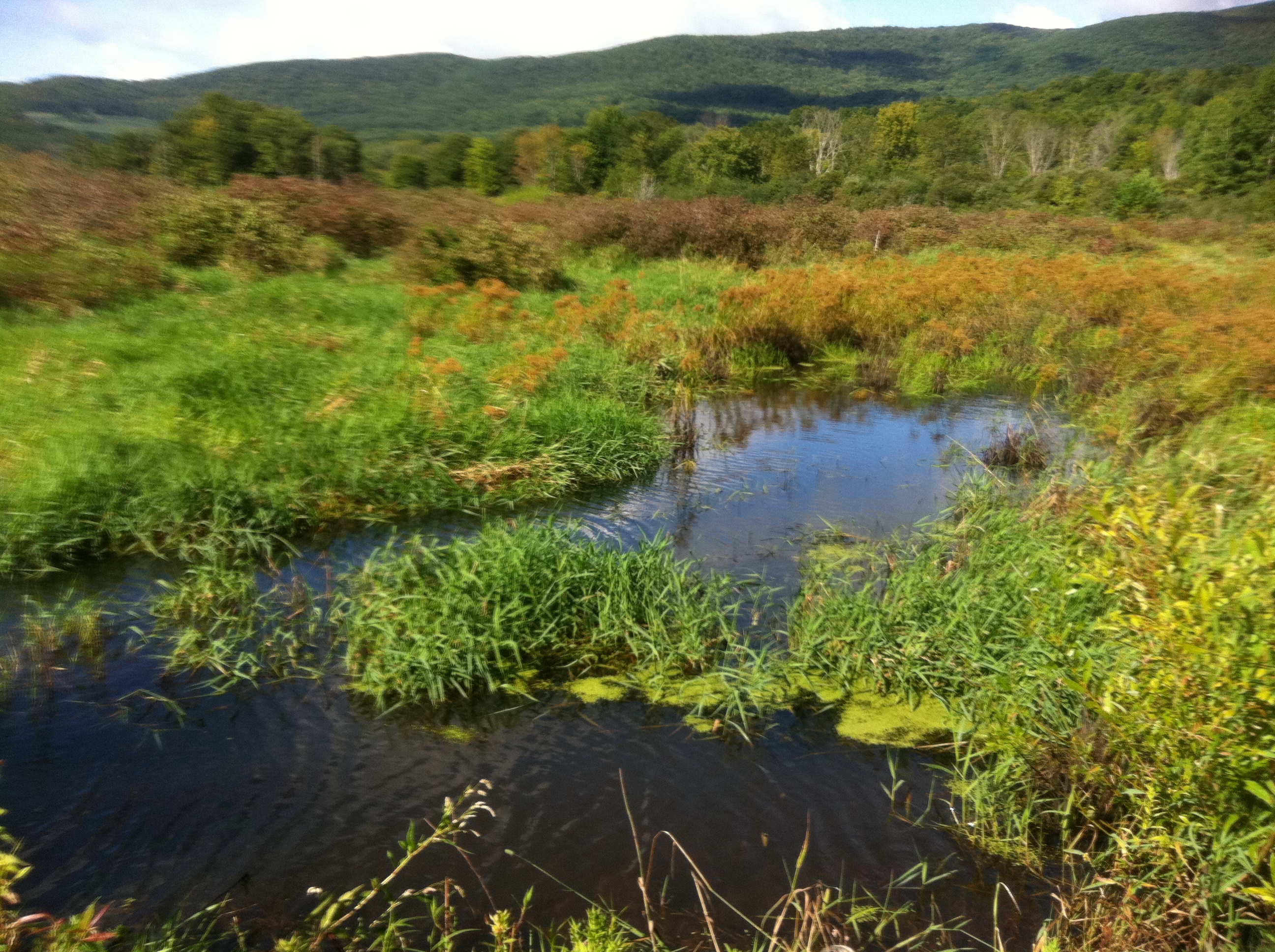 Casco Bay watershed acres to be protected in Maine