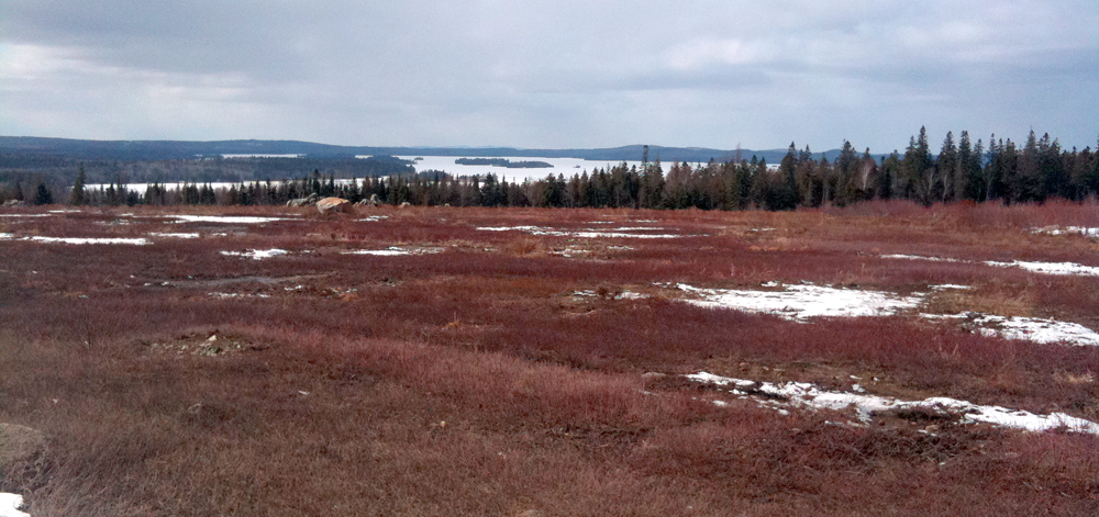 Drought causes southern Maine blueberry farm to close