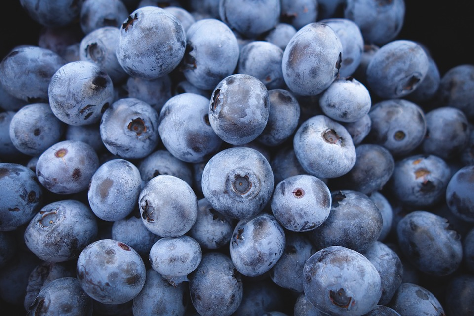 Maine Blueberry Growers Energized by Sales to Schools