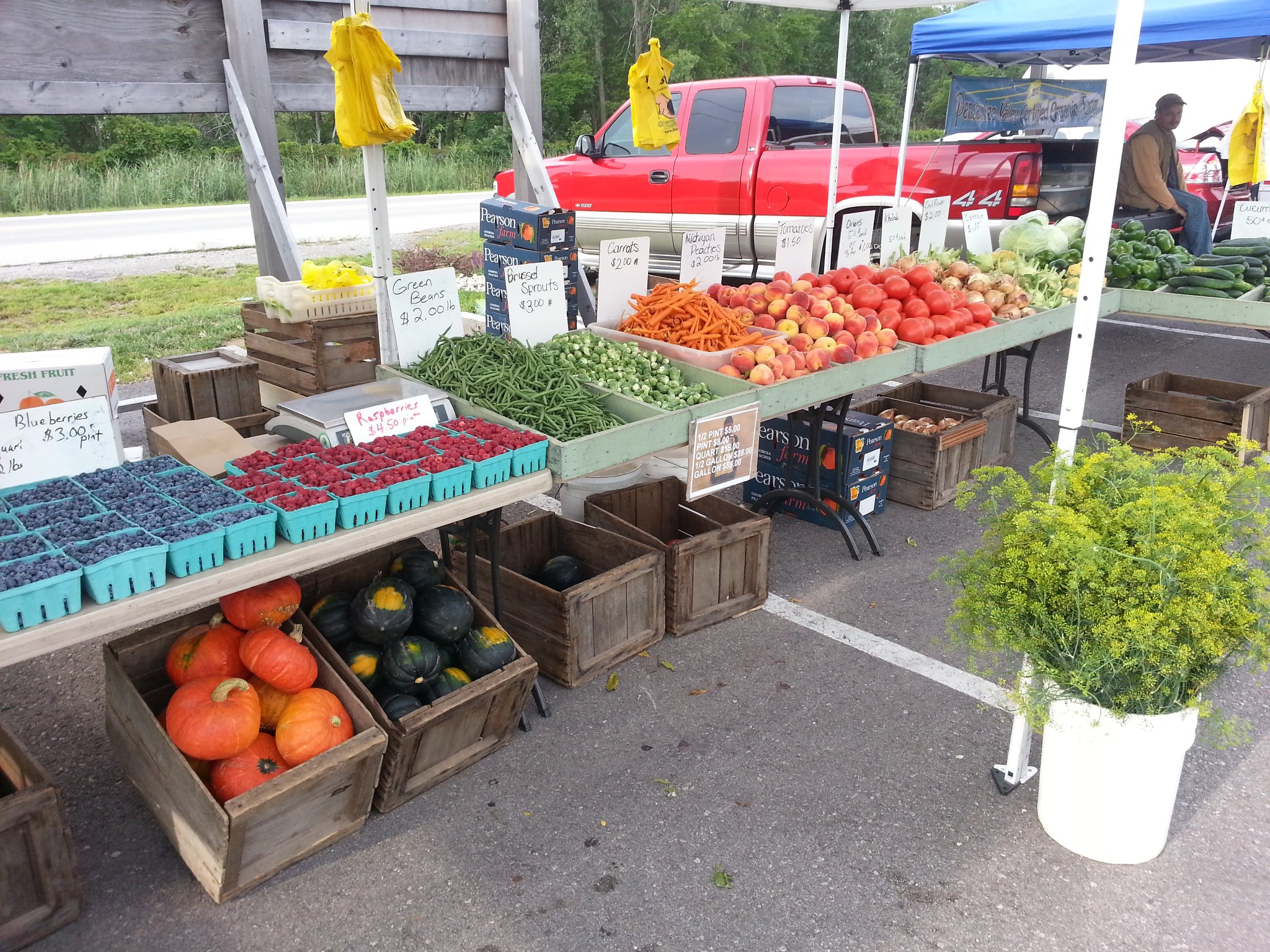 Maine Federation of Farmers’ Markets are against cuts to SNAP benefits