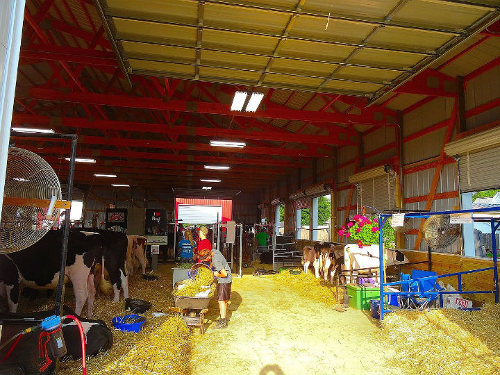 First Day of Maine Ag Fair to Focus on Food and Farm Jobs