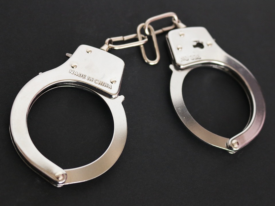 Man charged with beating father’s cat to death with frying pan