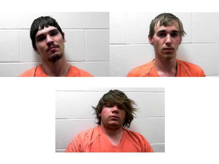 Three Arrested for Home Invasion in Auburn