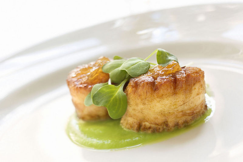 Feds Looking Into Health of Scallops in the Atlantic