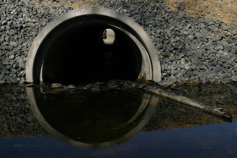Man Sues After Raw Sewage Floods Home