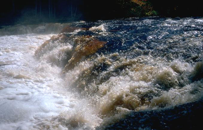 Relatives Raise Money for Boys Who Fell Into River