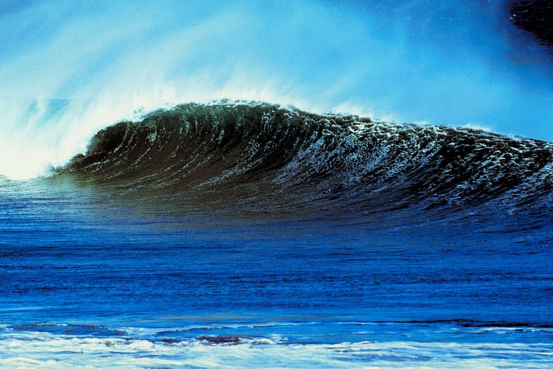 Senators Say NOAA Should Prioritize Warming Gulf of Maine