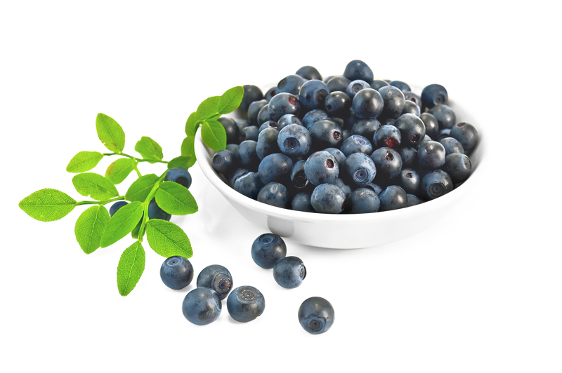 Maine’s Blueberry Industry Struggled in 2017