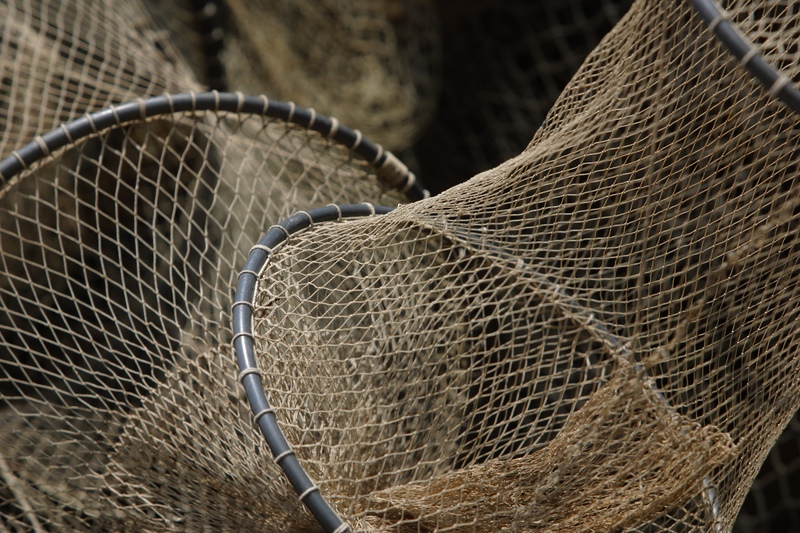 Seafood Industry Gathering for Invasive Green Crab Solution