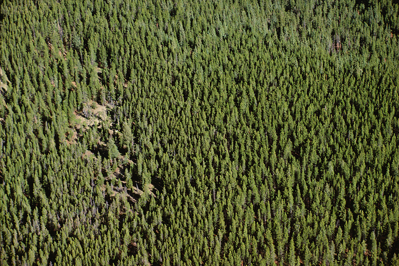 Hiker dies after 50-foot fall, cold night on Katahdin