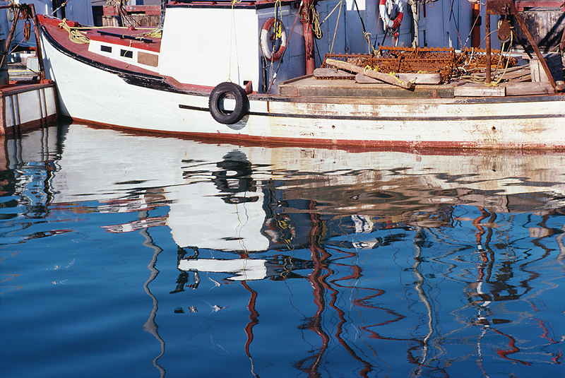 Atlantic mackerel fishing shut down for the rest of the year