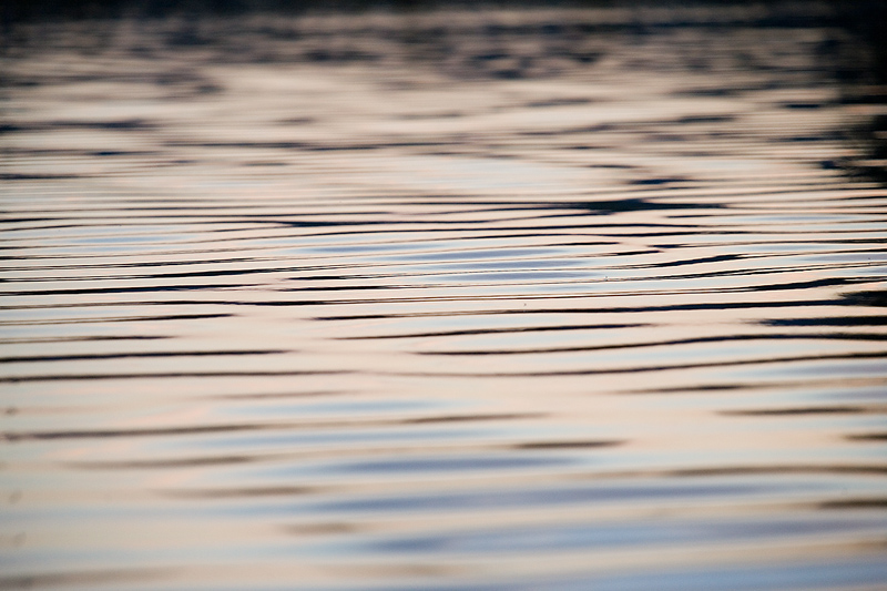 Fisherman Finds Body Floating in an Auburn Pond