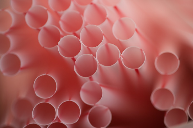 Portland’s city council approves ban of single-use plastic straws in unanimous vote
