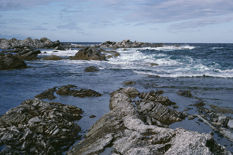 Future of Gulf of Maine draws scientists, leaders to event