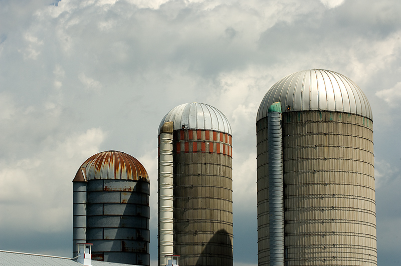 Farmers Around Maine Say There is a Shortage of Farmhands