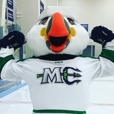 Maine Mariners Announce New Mascot: Beacon the Puffin