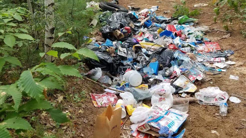Dozens of unruly park-goers charged with trespassing