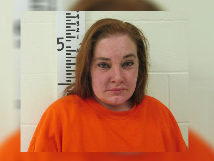 Police: Woman Charged After Nearly Hitting Deputy