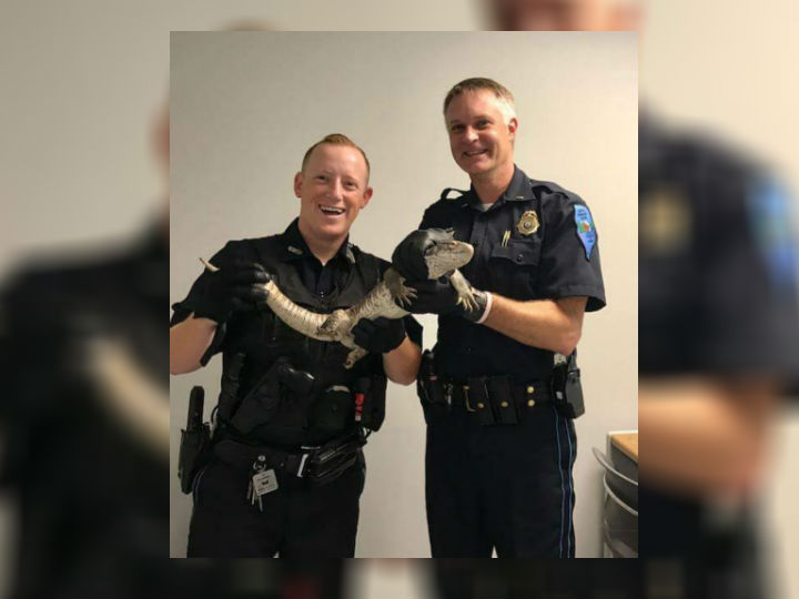 Police Search for Owner of Lizard Found Sunbathing in Garden