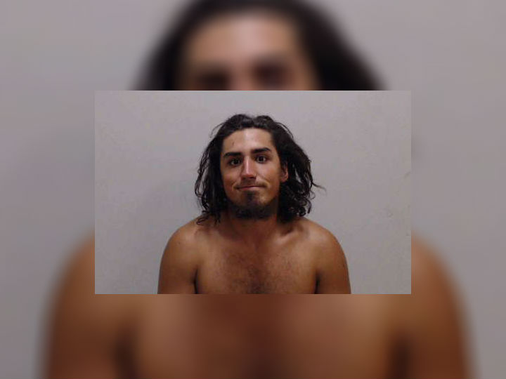 Police: Man Took Psychedelic Mushrooms Before Killing Cat