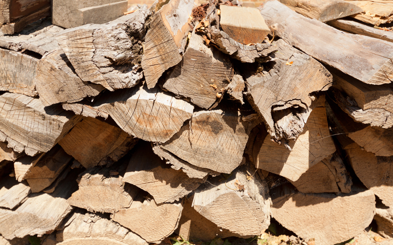 Acadia Says Firewood Will Be Available Through Lottery