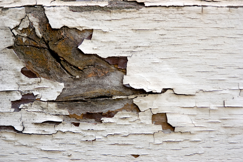 Lead Abatement Program Clears 500 Housing Units