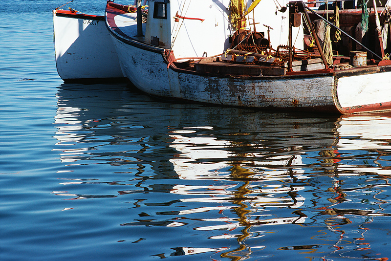 Maine to Hold Scallop Lottery to Give Away Valuable Licenses