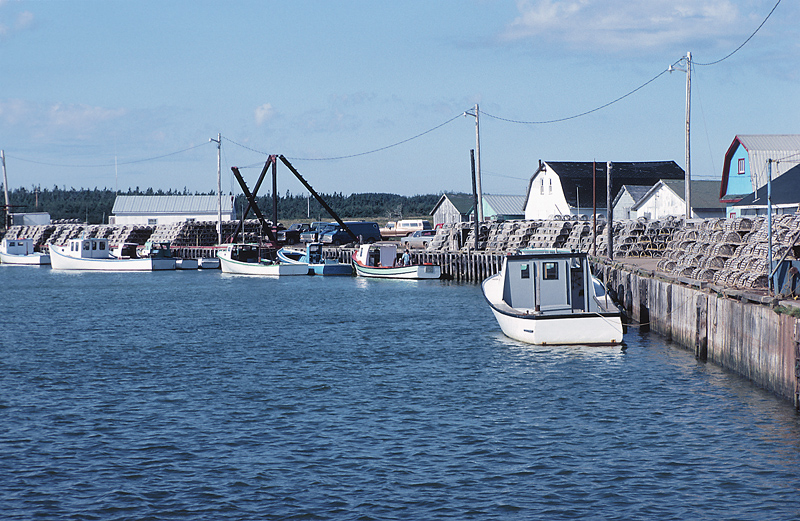 Rebuilt Maine Scallop Fishery Lets in First New People in Years