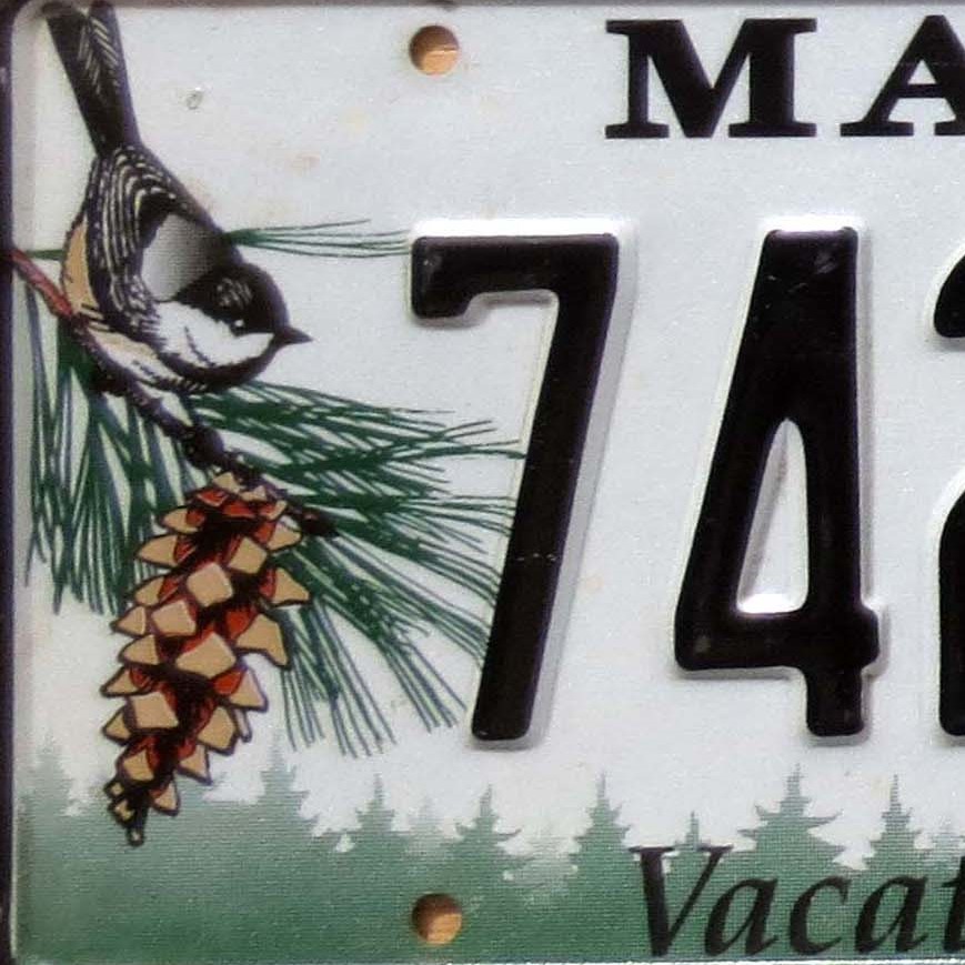 Potential change coming to Maine’s chickadee license plate