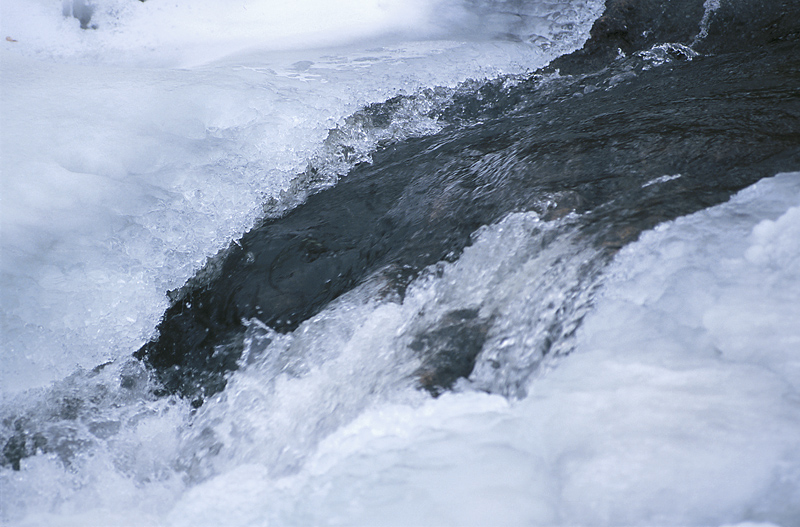New England fish passage projects among 36 slated by feds