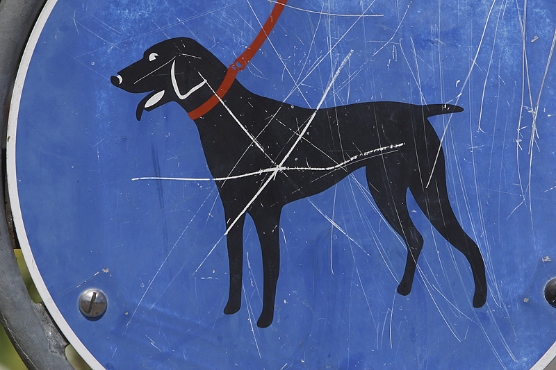 Proposed Law Packs Bite for Owners of Dogs that Attack Proposed Law Packs Bite for Owners of Dogs that Attack