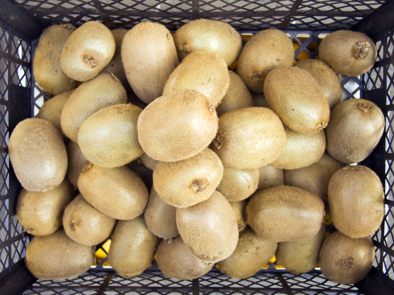 Proposal Would get More Local Food into Maine Schools Proposal Would get More Local Food into Maine Schools