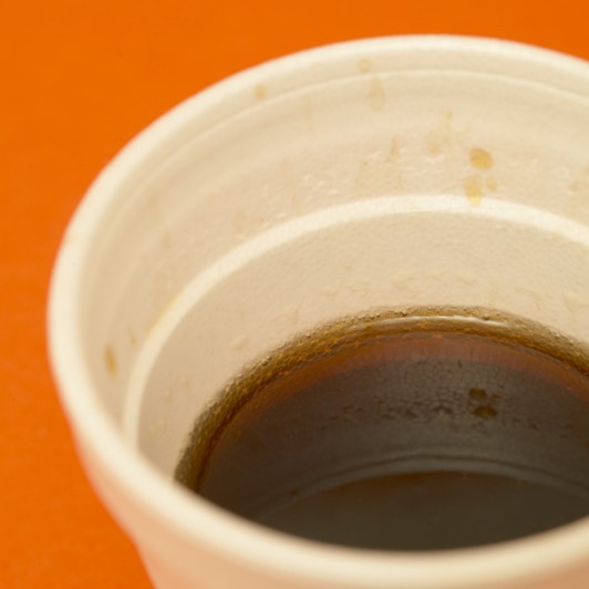 Maine House Advances Bill on Statewide Foam Ban