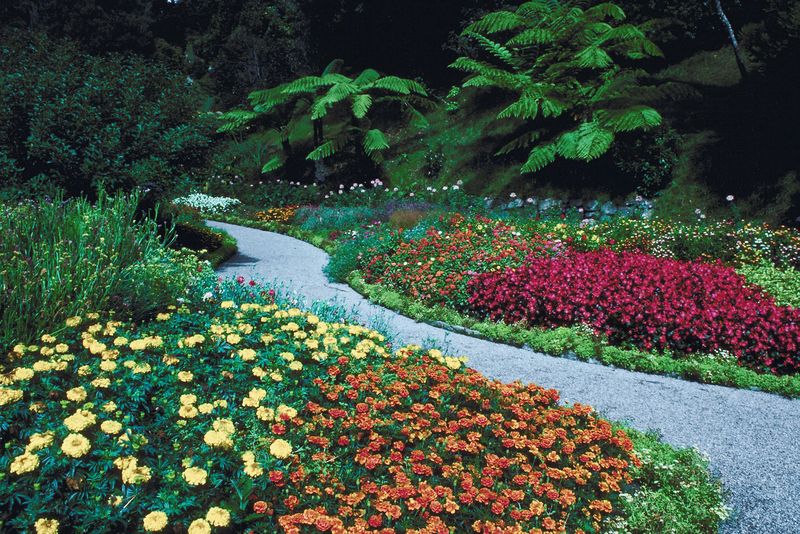 Coastal Botanical Garden Settlement Includes Fish Passage Coastal Botanical Garden Settlement Includes Fish Passage