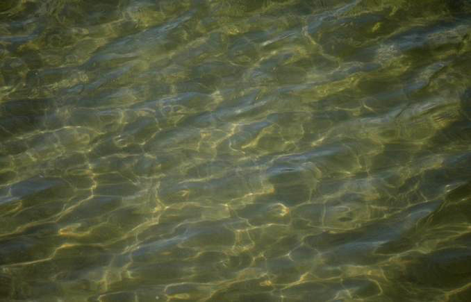 Maine Wardens Recover Body of Kayaker from Standish Lake