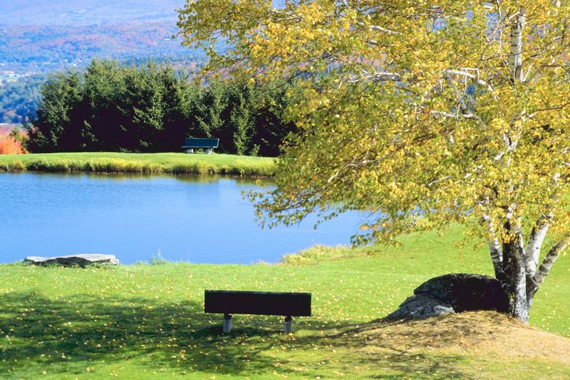 You can now legally drink at some Maine park events